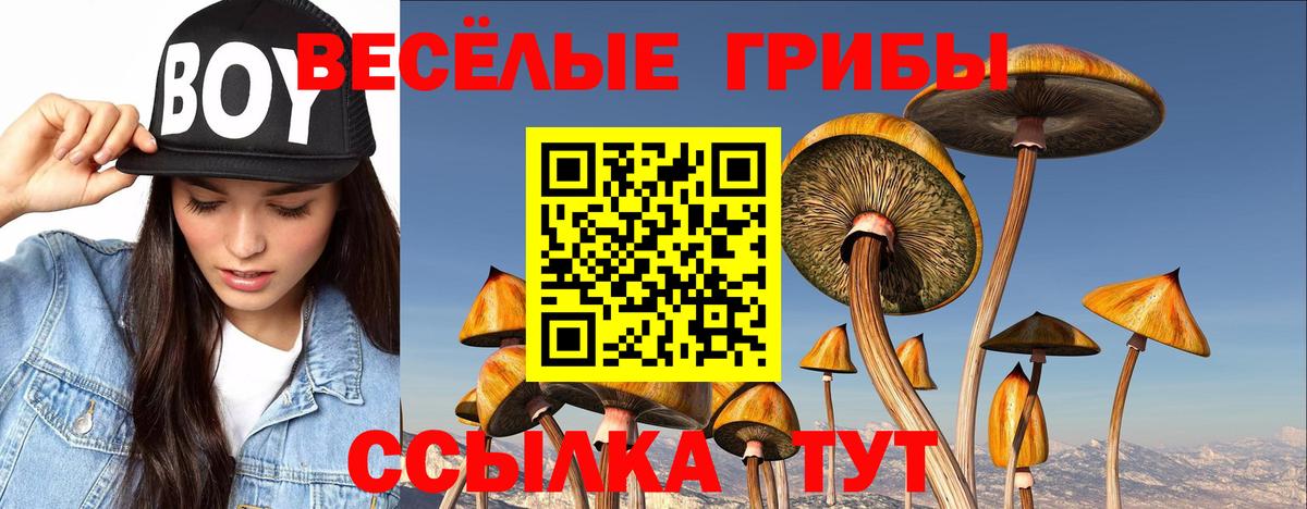 Псилоцибиновые грибы прущие грибы  Вход с VPN  Кстово  Псилоцибиновые грибы мицелий 